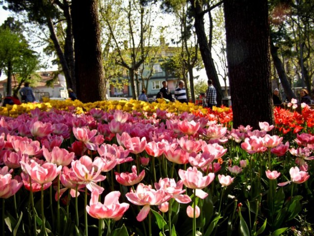 Праздник цветов в Анталии