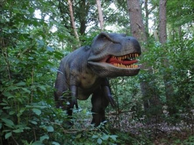 Первый в Турции парк динозавров в Антальи