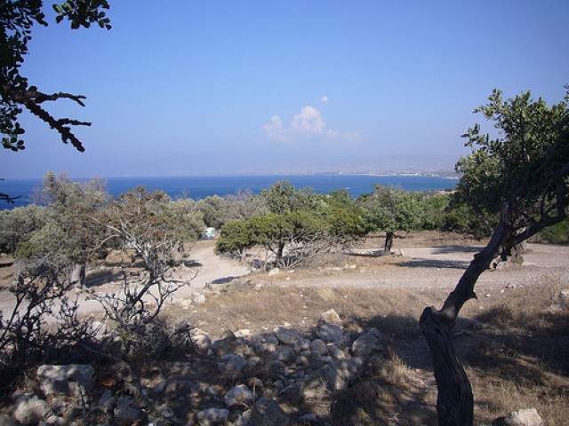 Экскурсия в Пафос и купальню Афродиты 