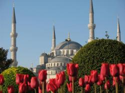 Тюльпановый рай в Стамбуле