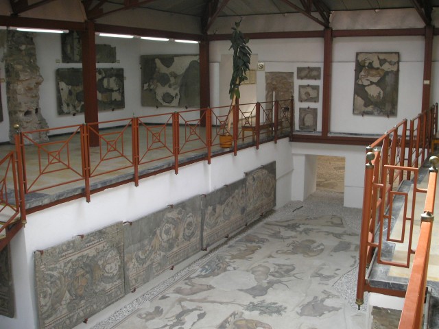 Музей мозаик (Buyuk Saray Mozaikleri Muzesi) 